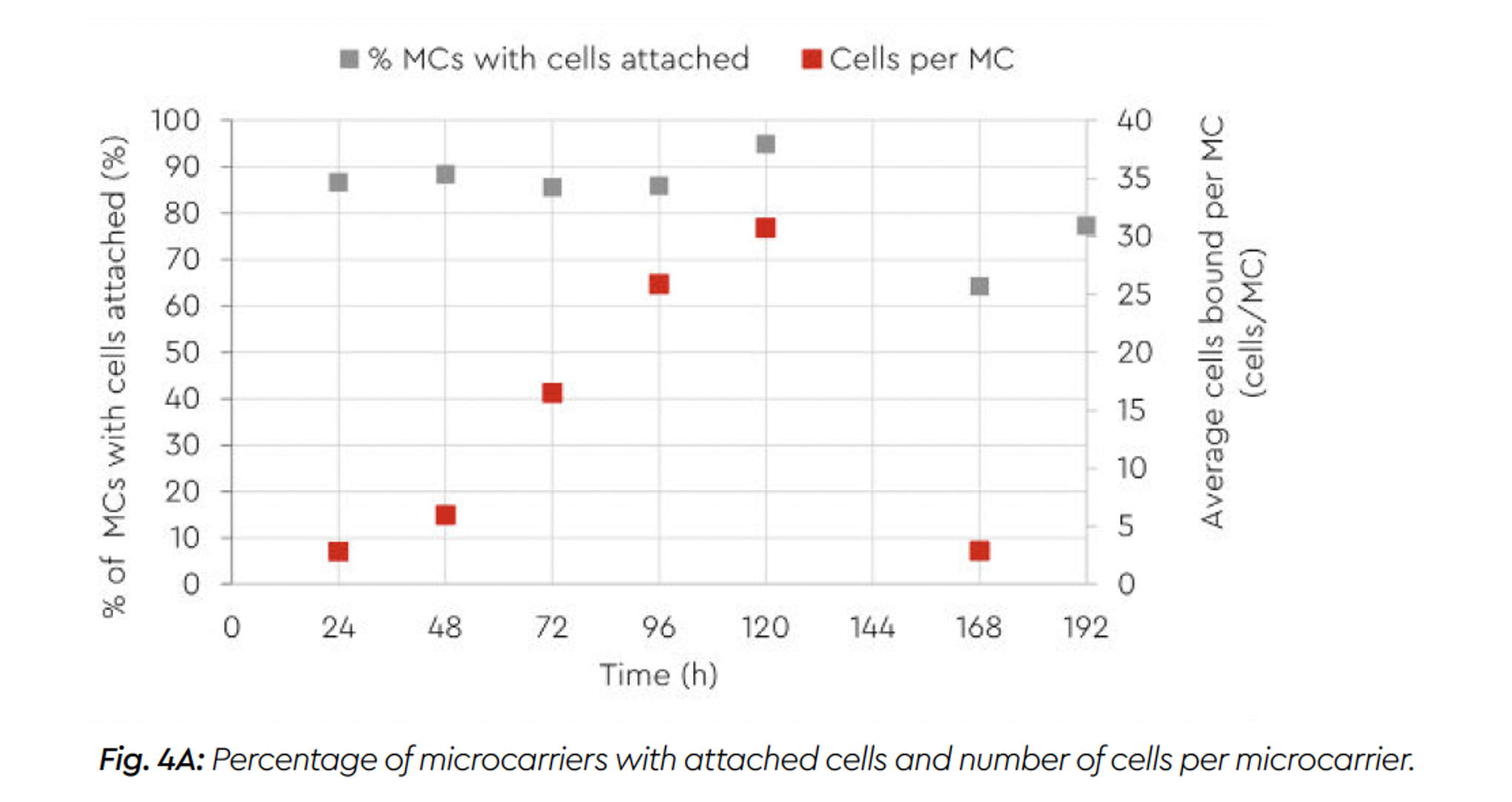 Percentuale di microcarrier con cellule attaccate e numero di cellule per microcarrier