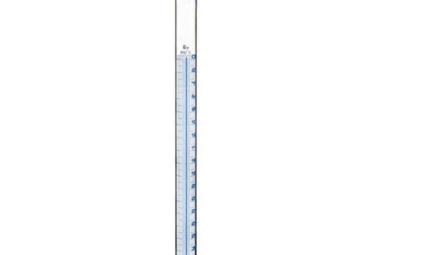 linea schellback